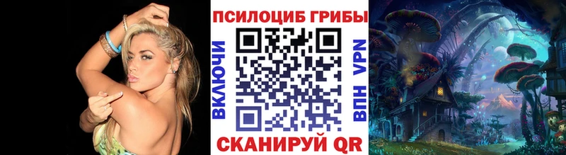 hydra tor  Ялуторовск  площадка Telegram  Галлюциногенные грибы Psilocybe 