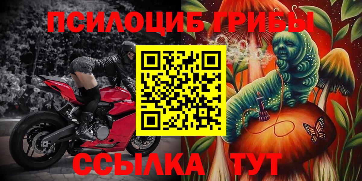 Ялуторовск  как найти наркотики  Галлюциногенные грибы Magic Shrooms  Вход с VPN  Псилоцибиновые грибы Cubensis 